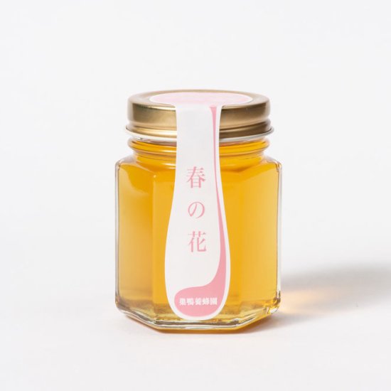 春の花~百花蜜~
